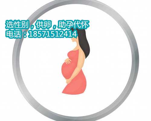 香港专业供卵自怀-到香港特别行政找供卵女孩