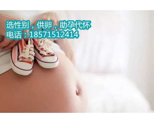 合法香港助孕最新参考价格_前列腺炎