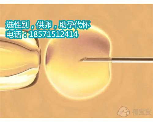 香港代怀孕生男孩-香港特别行政供卵试管包生儿子价格多少？价格涨没涨？