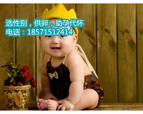 香港知名代怀公司:2020年1月16日出生的男孩五行缺什么？取什么名字好听？