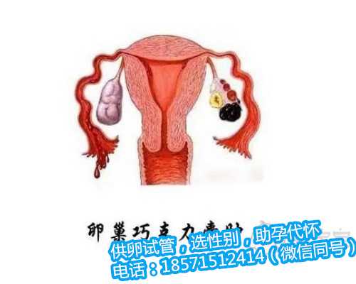 香港有好的代孕机构吗 盐酸利多卡因胶浆怎么样