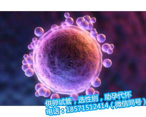 香港同性生孩子价格，干细胞修复肾脏要等多久实现