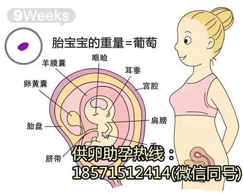 香港同志代孕:香港特别行政市私立生殖医院排名[香港特别行政试管婴儿]