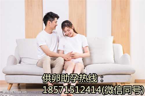 在香港代孕要多少钱|金宝贝供卵机构（金宝贝早教中心收费）