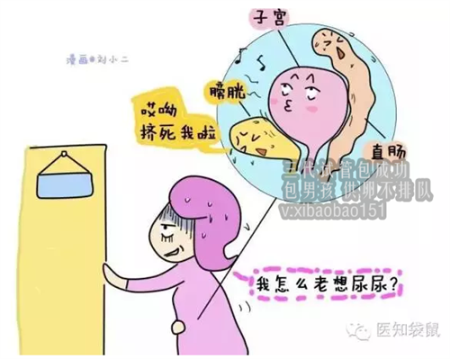 东方助孕中介,生殖助孕私人诊所,北京不孕不育最有权威医院选择什么样的医院