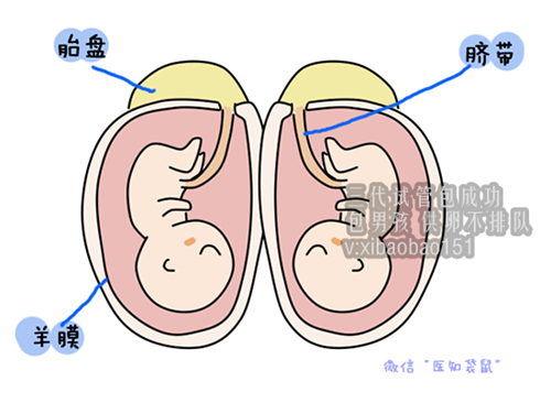 泰国做试管婴儿流程_体外受孕的过程
